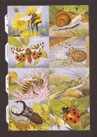 Insekten poezieplaatjes MLP 1470 A