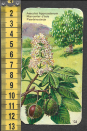 Côte d'Or Poezieplaatje: Nr 102: Paardekastanje (tekst voor)