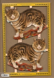 Statige katten poezieplaatjes A 126