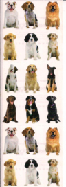 Kleine honden 2 stickers