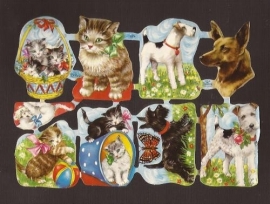 Kruger 98/04 Honden en Katten poezieplaatjes