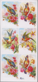 Vogels met bloesem poezieplaatjes Stickers Y219