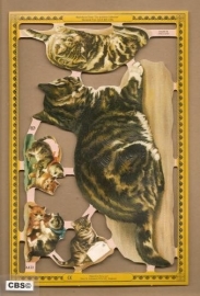 Lieve poezen poezieplaatjes A 122