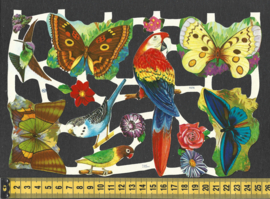 Vlinder, vogels en bloemen poezieplaatjes MLP 1575