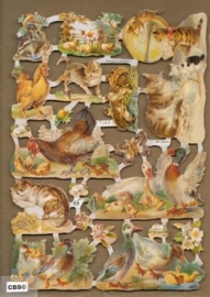 Kippen, eenden, poezen en andere poezieplaatjes GL7165