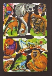 Wilde dieren met vos poezieplaatjes 1602
