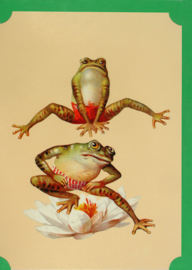 Frogs - Kikkers kaart: Kikkers doen haasje over [EC-1350]