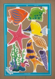 C5024: Kleurige vissen  met zeester poezieplaatjes