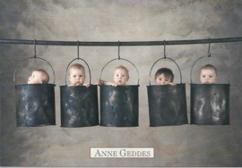 Anne Geddes kaart nr. A258: Billy Lids
