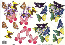 Knipvel: Diverse vlinder met goud opdruk (1) - 572566