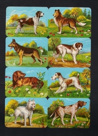 Kruger 99/7 Honden poezieplaatjes