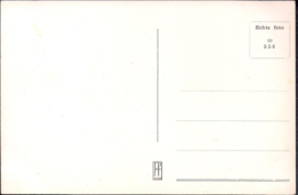 Huize de Kaastele - Zutphen - oude kaart [15356]