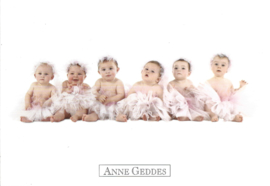 Anne Geddes kaart nr. A255: Ballerina's