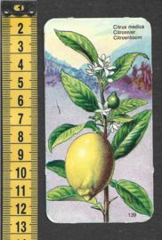 Côte d'Or Poezieplaatje: Nr 139: Citroenboom (tekst voor)