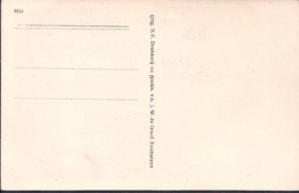 Stadhuis - Enkhuizen - oude kaart [15454]