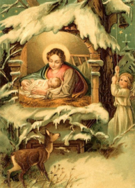 In de Kerststal Reliefkaart EF 3070