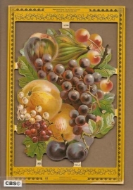 Stilleven Fruit poezieplaatjes A 104