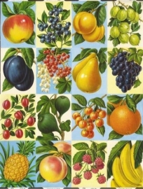 Fruit poezieplaatjes MLP 1279