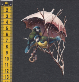 Paraplu vogel Koolmees antiek poezieplaatje (249)