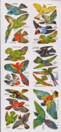 Papegaaien poezieplaatjes Stickers Y250