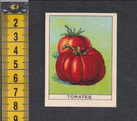 Tomaten - Tomates ~ Librairie d'education Nationale
