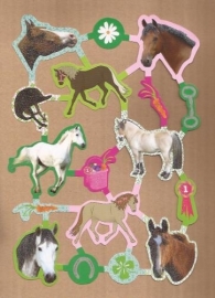 Hippe kleurige Paarden poezieplaatjes