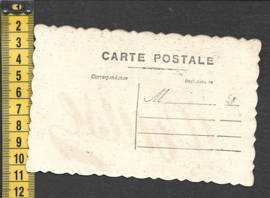 Duifjes met bloemen- Frans - poezieplaatjes antieke kaart (310)