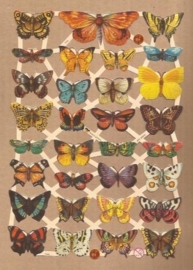 Vlindertjes klein poezieplaatjes 7336