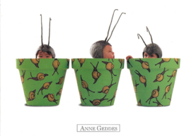 Anne Geddes kaart nr. A213: Slakken in pot #1