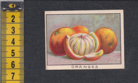 Sinasappels - Oranges ~ Librairie d'education Nationale