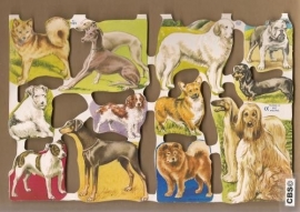 Windhonden e.a. honden poezieplaatjes MLP 1549