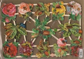 Bloemen met verschillende insecten poezieplaatjes GL7338