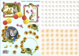 Knipvel 2 kaarten: Zonnenbloemen en Poesjes met goud - 572288