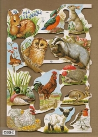 Uilen met vogels en dieren poezieplaatjes MLP 1563