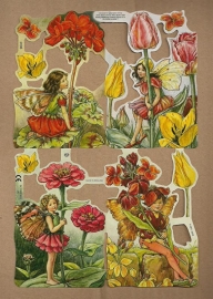 Bloemenkindertjes Cicely Mary Barker poezieplaatjes 2096