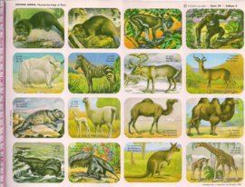 Editions Hemma Serie 39 - Tableau 5 wilde dieren