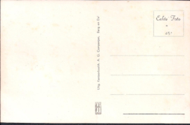 Berg en Dal - Panorama Persingen - oude kaart [15338]