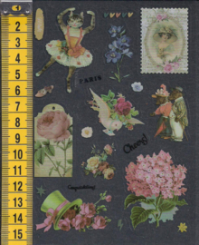 Stickers Vintage doorzichtig plastic - WH1078