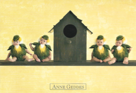 Anne Geddes kaart nr. A230: Vogelhuisje #2