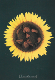 Anne Geddes kaart nr. A214: Zonnenbloemen Tweeling