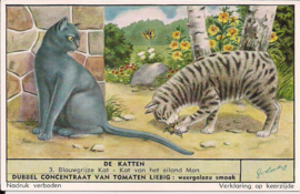 Liebig: De Katten - Blauwgrijze kat - Kat van het eiland Man