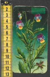 Côte d'Or Poezieplaatje: Nr 113: Driekleurige Viool (tekst voor)