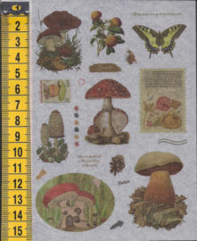 Stickers nostalgie Paddenstoelen mat plastic - WH1068