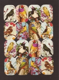 Kruger 98/149 Zangvogel poezieplaatjes