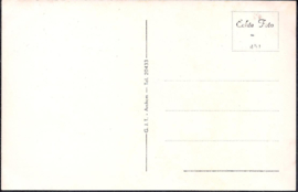 Panorama - Berg en Dal - oude kaart [15336]