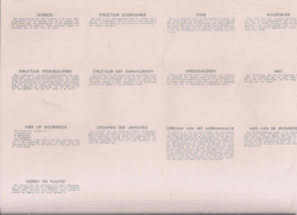 Editions Hemma Serie 39 - Tableau 66 Spijsvertering Urinewegen