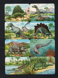 Kruger 99/17 Dinosaurussen poezieplaatjes