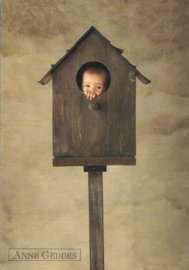Anne Geddes kaart nr. A229: Vogelhuisje