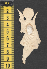 Engeltje met Bloemen antiek poezieplaatje (815)