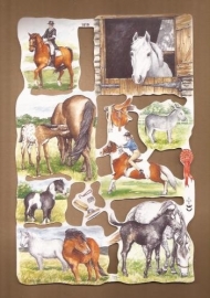 Plezier met Pony`s poezieplaatjes MLP 1819